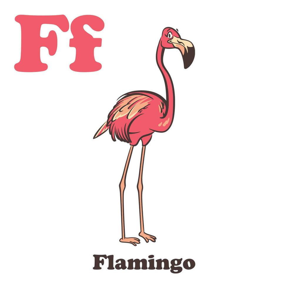 Flamingo Alphabet Cartoon Character For Kids vector
