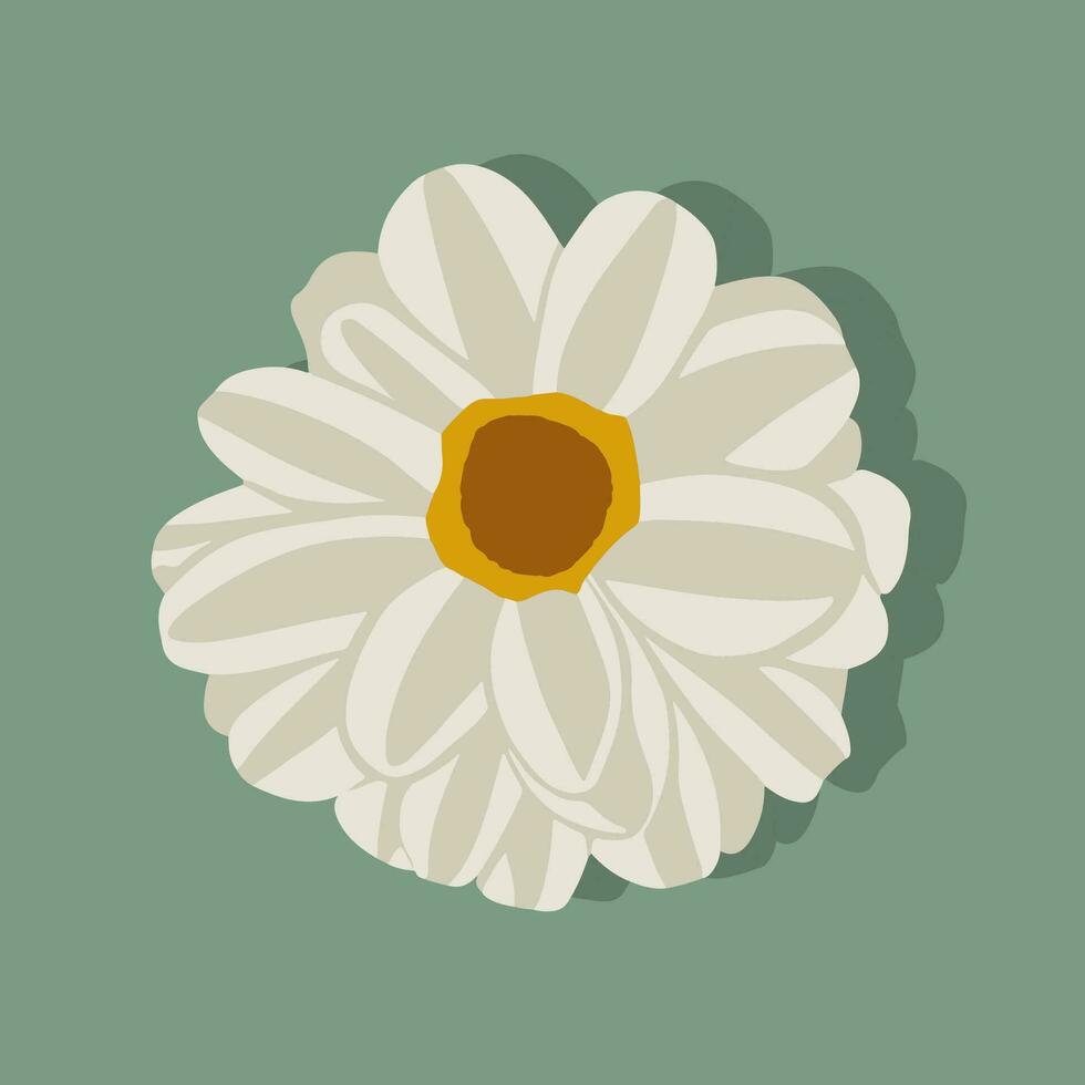 Vector isolated illustration of a flower with white petals.