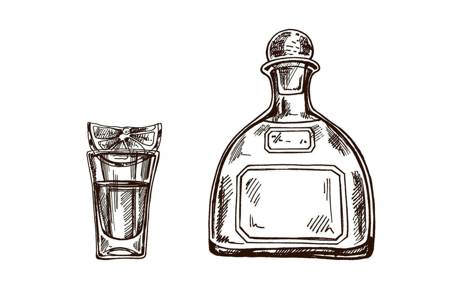 Hand-drawn bottle of tequila and shot glass with tequila with a slice of lime. Design element for the menu of bars and in engraving style. Mexican, Latin America. vector