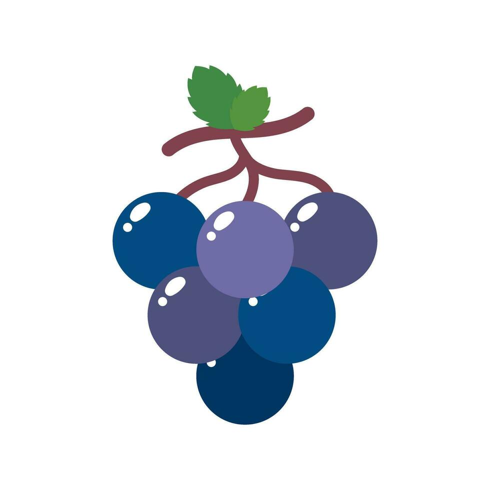 Grape icon vector. Fruits illustration sign. Vitamins symbol. Vegetarian logo. Food mark. vector
