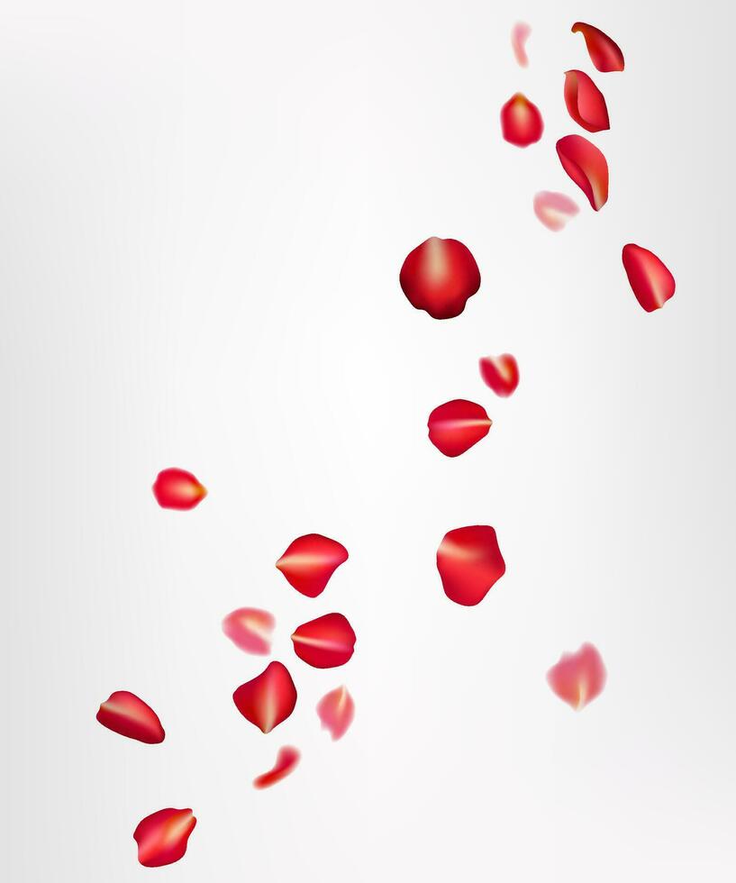 Realistic flying red rose petals on a white background. Perfect for romantic cards, weddings, and Valentine's Day celebrations. The design creates a beautiful, natural, and festive atmosphere. Not AI vector