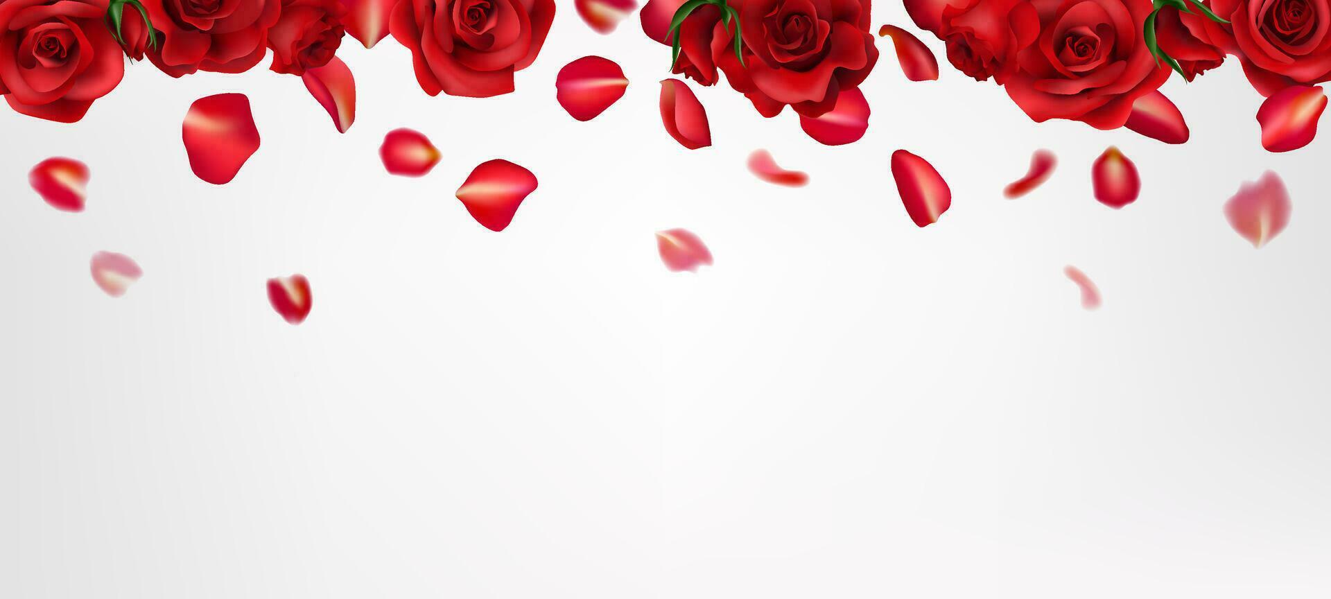 A romantic red rose realistic illustration, with falling petals. Perfect for Valentine's Day, weddings, and celebrations. Realistic details create a beautiful, natural design. Not AI. vector