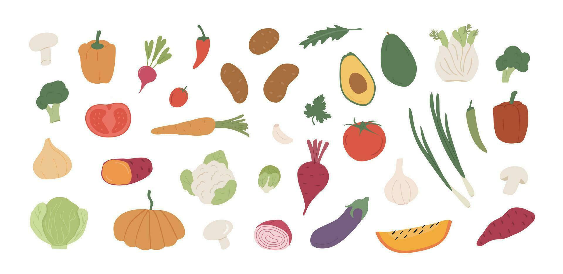Collection of different vegetables. Bundle of organic natural crops, salads, greens and herbs. Vector illustration in flat cartoon style isolated on white background.