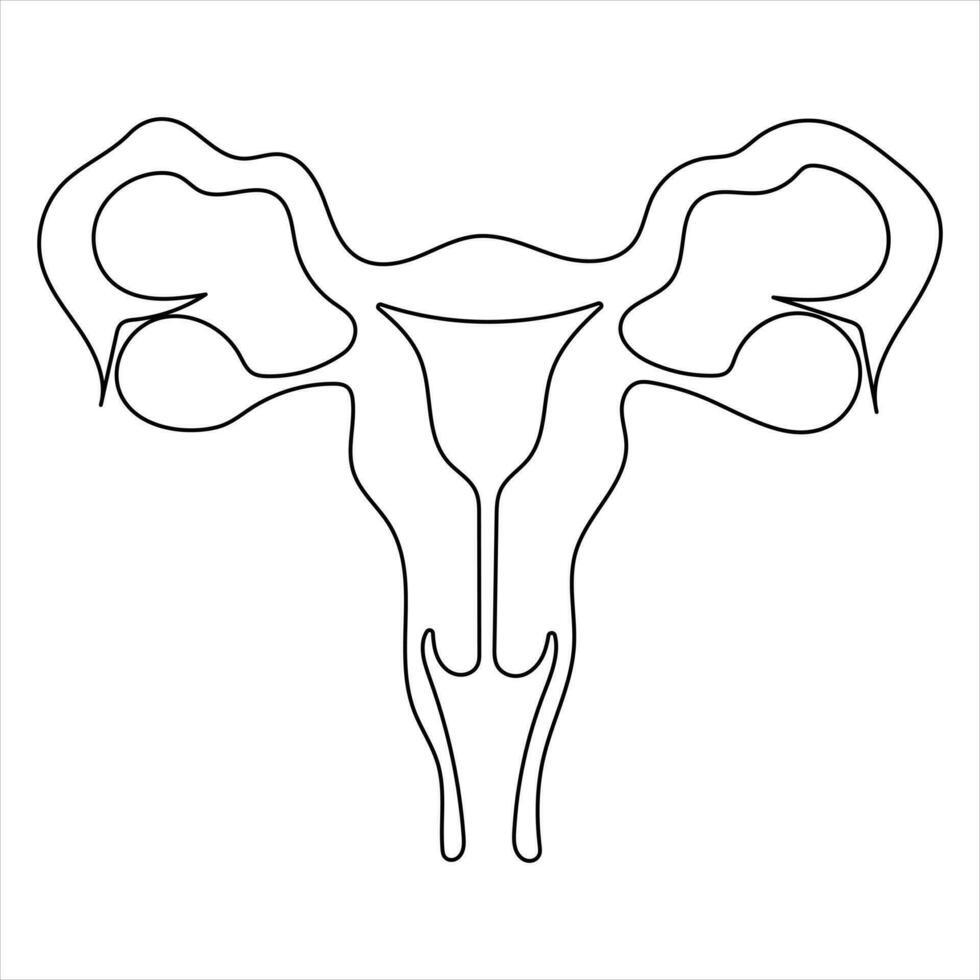 Female reproductive uterus of continuous single line art drawing and woman day one outline vector art illustration