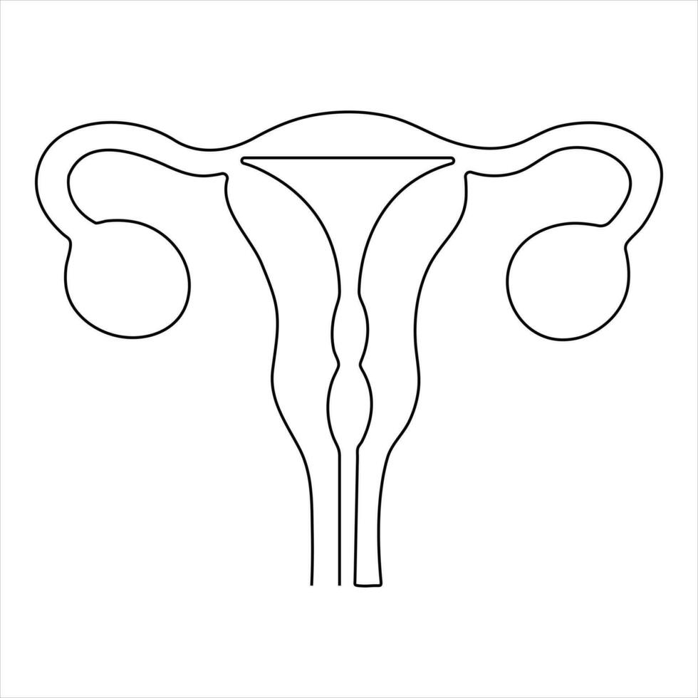 Female reproductive uterus of continuous single line art drawing and woman day one outline vector art illustration