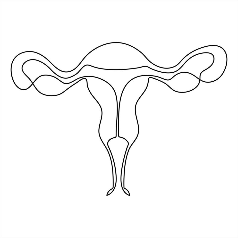 Female reproductive uterus of continuous single line art drawing and woman day one outline vector art illustration