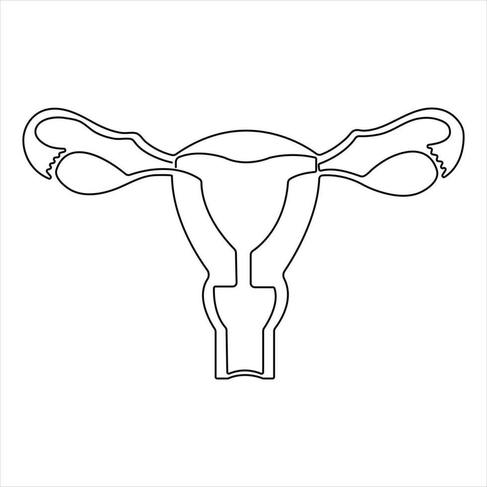 Female reproductive uterus of continuous single line art drawing and woman day one outline vector art illustration