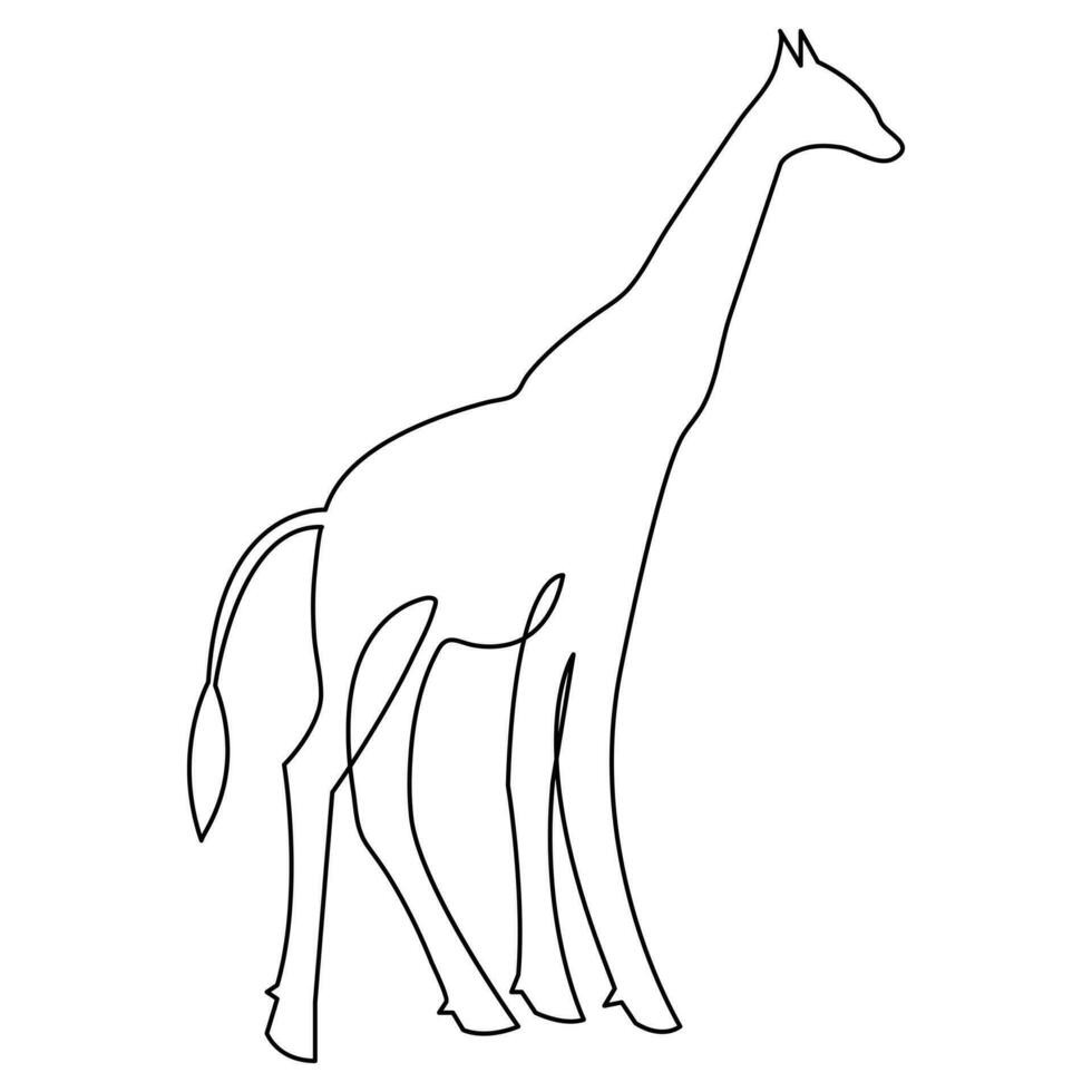 Single line hand drawing giraffe continuous art print and minimalistic outline vector art illustration