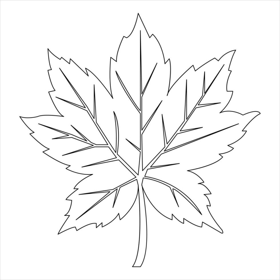 Continuous one line art drawing maple leaf botanical decorative symbol outline vector art illustration