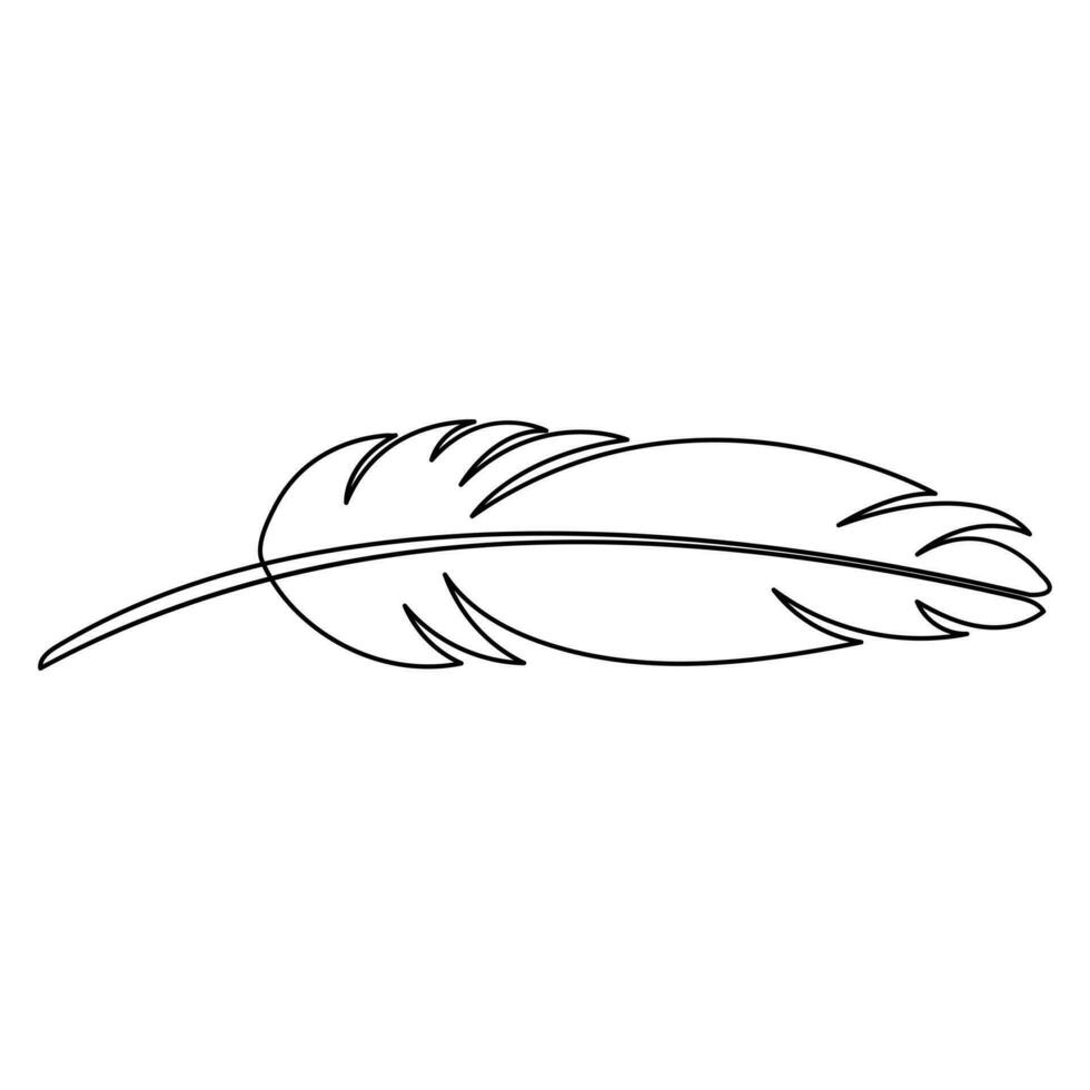 Bird feather continuous single line hand drawn to outline vector art illustration