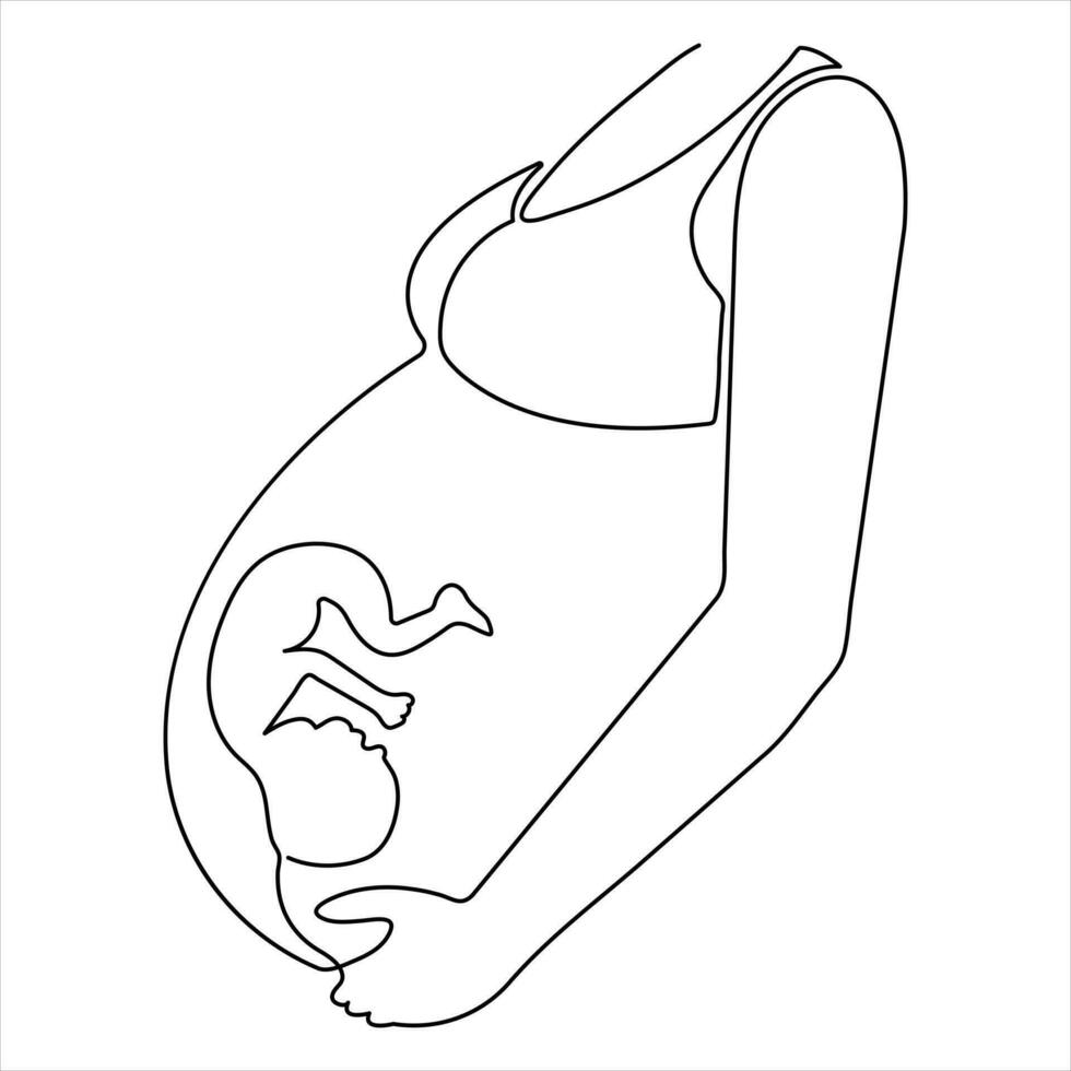 mujer día embarazada mujer contento madre participación su embarazada barriga continuo uno línea dibujo contorno vector