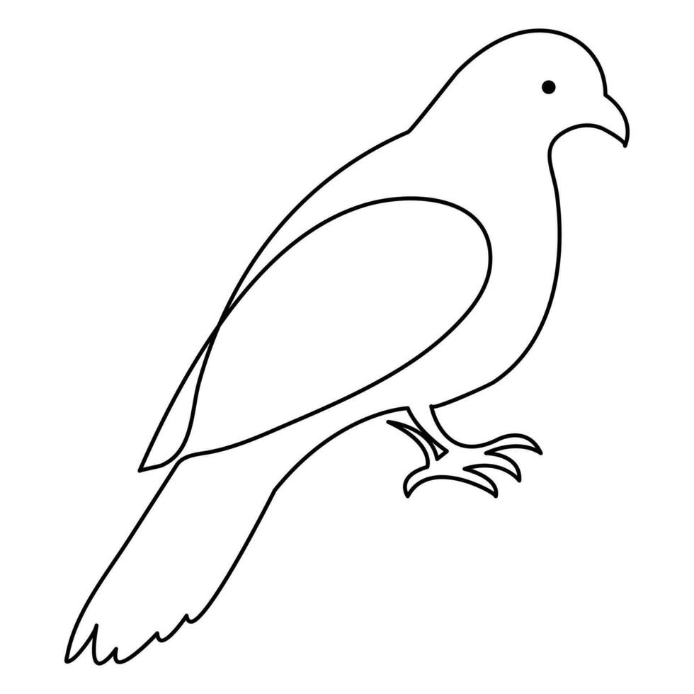 Continuous single line art drawing pet pigeon hand drawn in doodle style sketch stock illustration vector