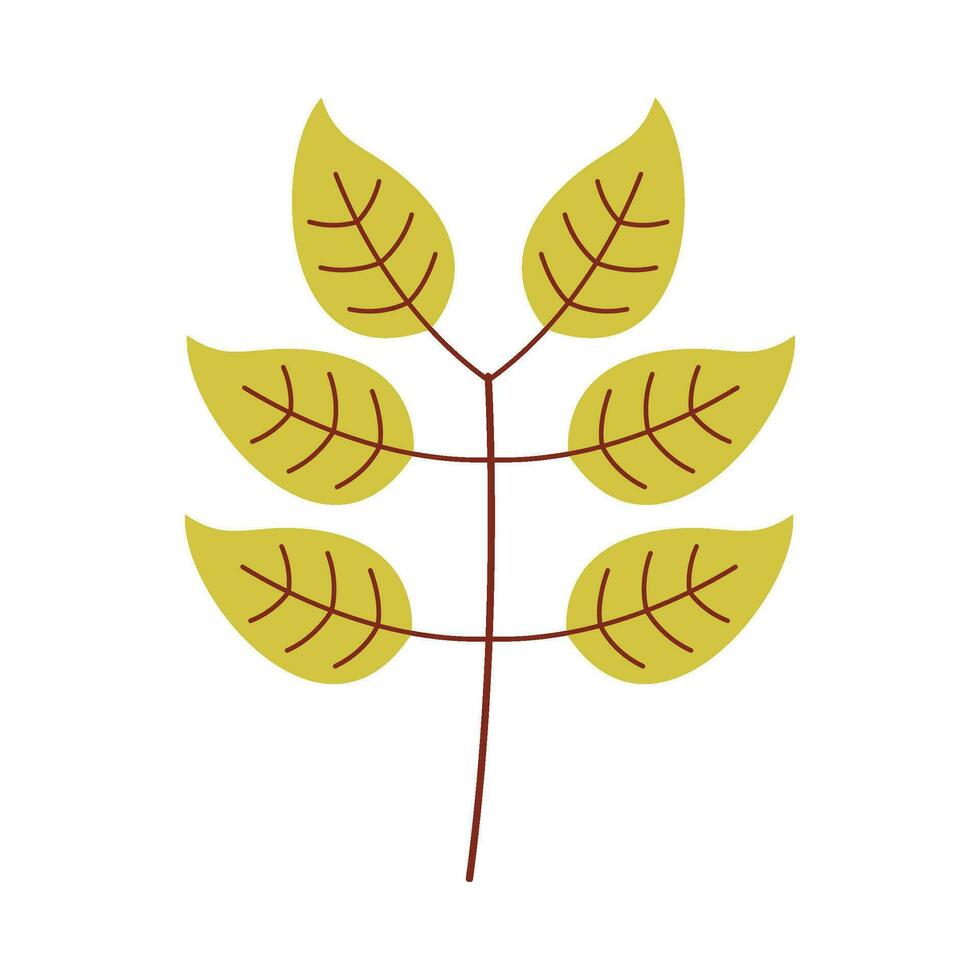 Leaf flat illustration on isolated background vector