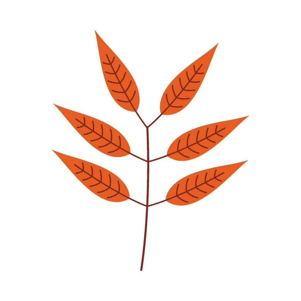 Leaf flat illustration on isolated background vector