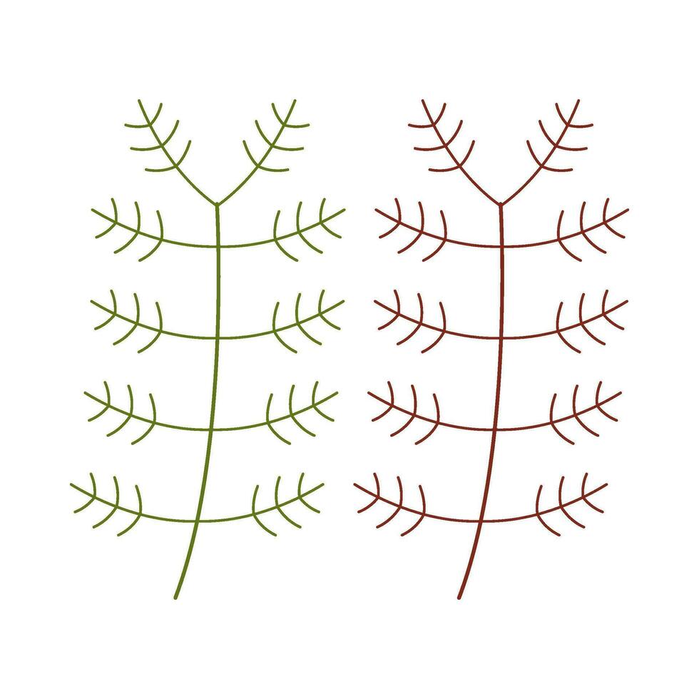 Branch flat illustration on isolated background vector