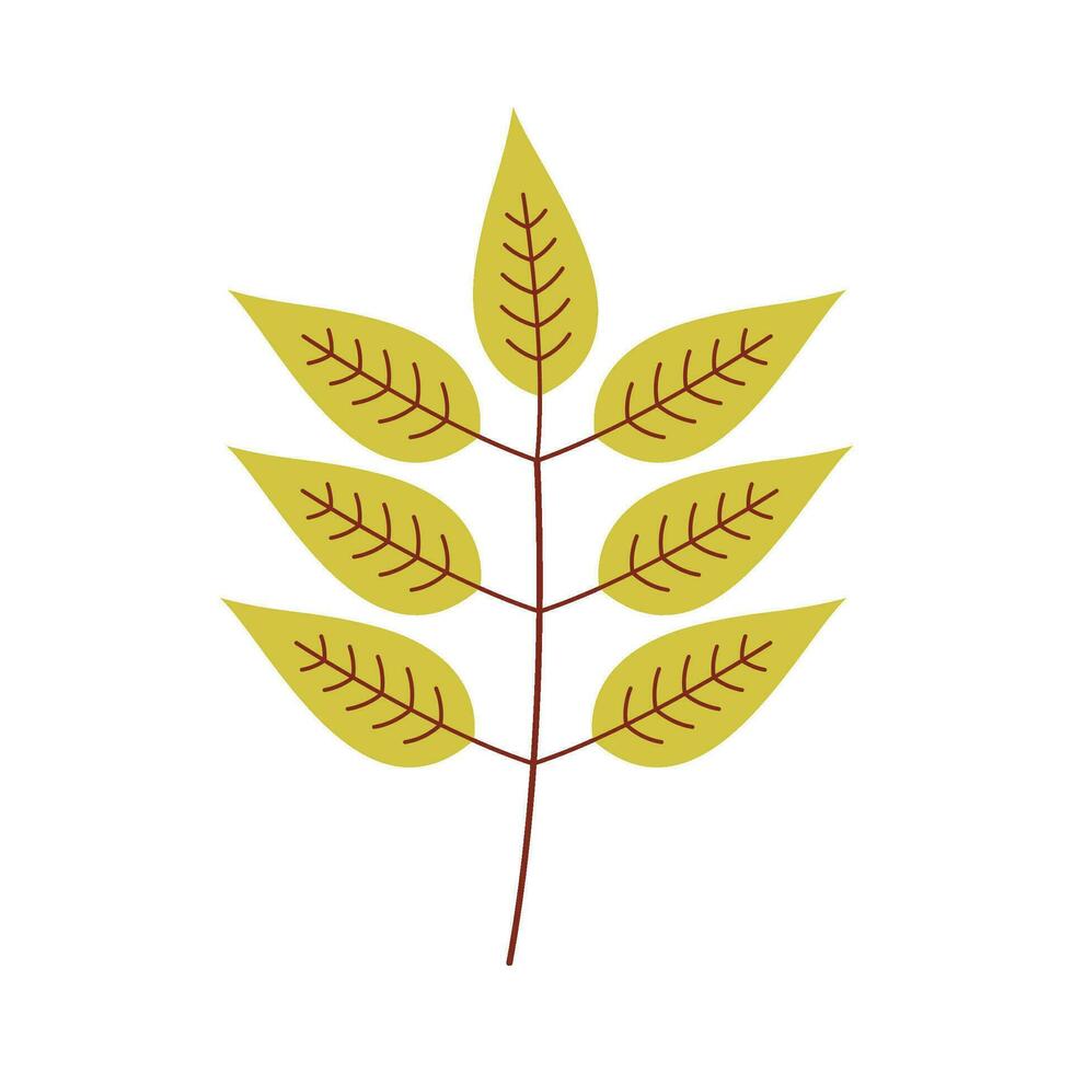 Leaf flat illustration on isolated background vector