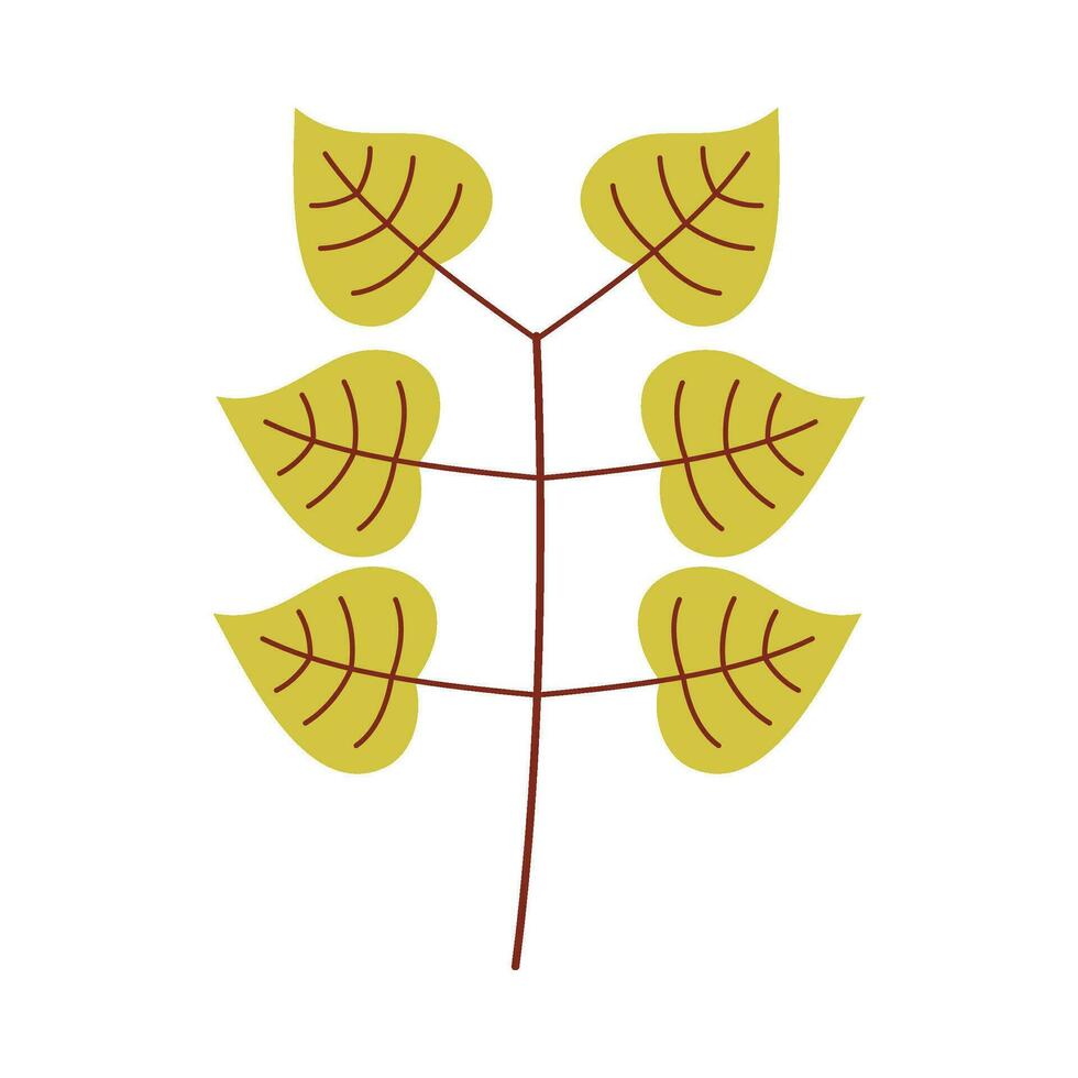 Leaf flat illustration on isolated background vector