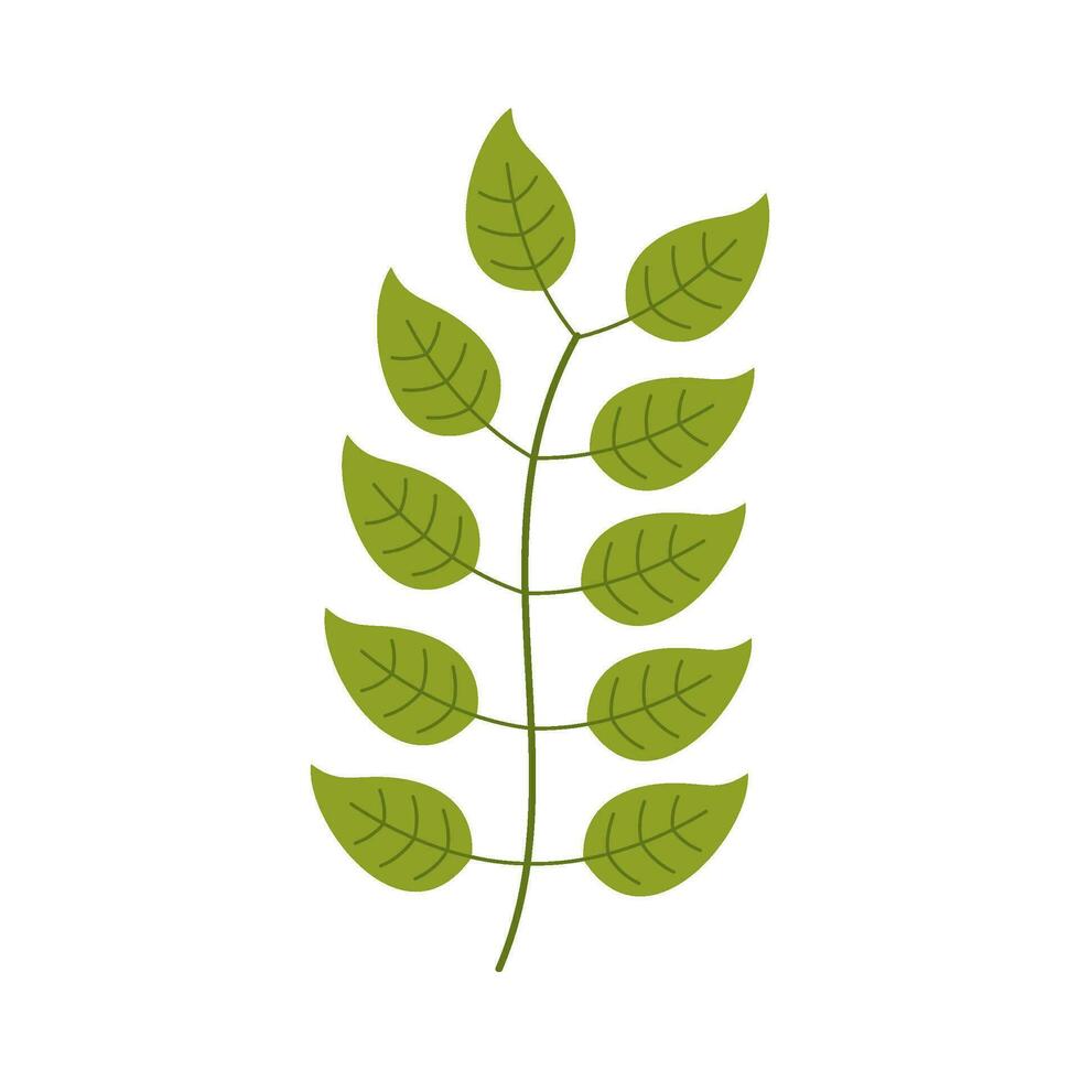 Leaf flat illustration on isolated background vector