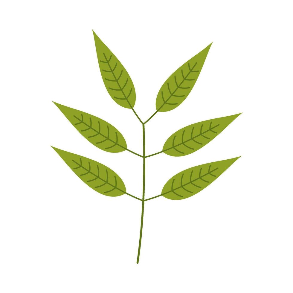 Leaf flat illustration on isolated background vector