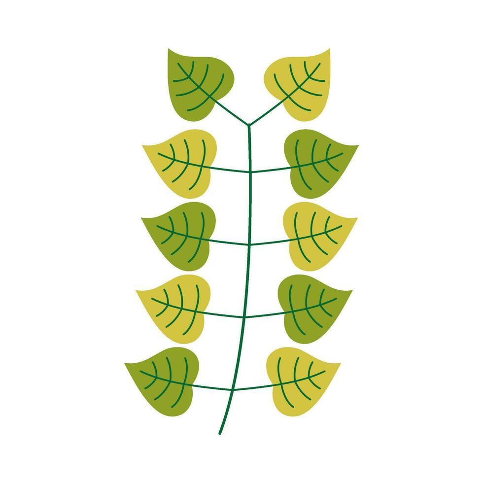 Leaf flat illustration on isolated background vector