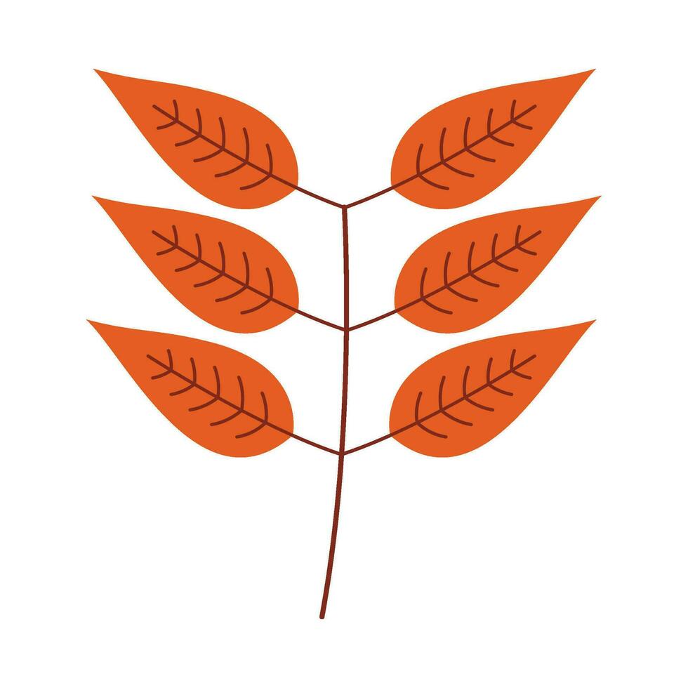 Leaf flat illustration on isolated background vector
