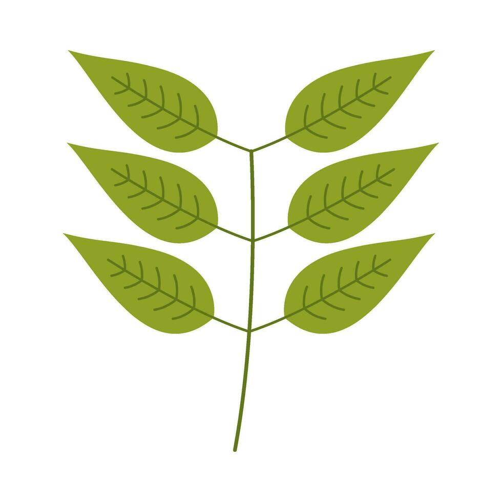 Leaf flat illustration on isolated background vector