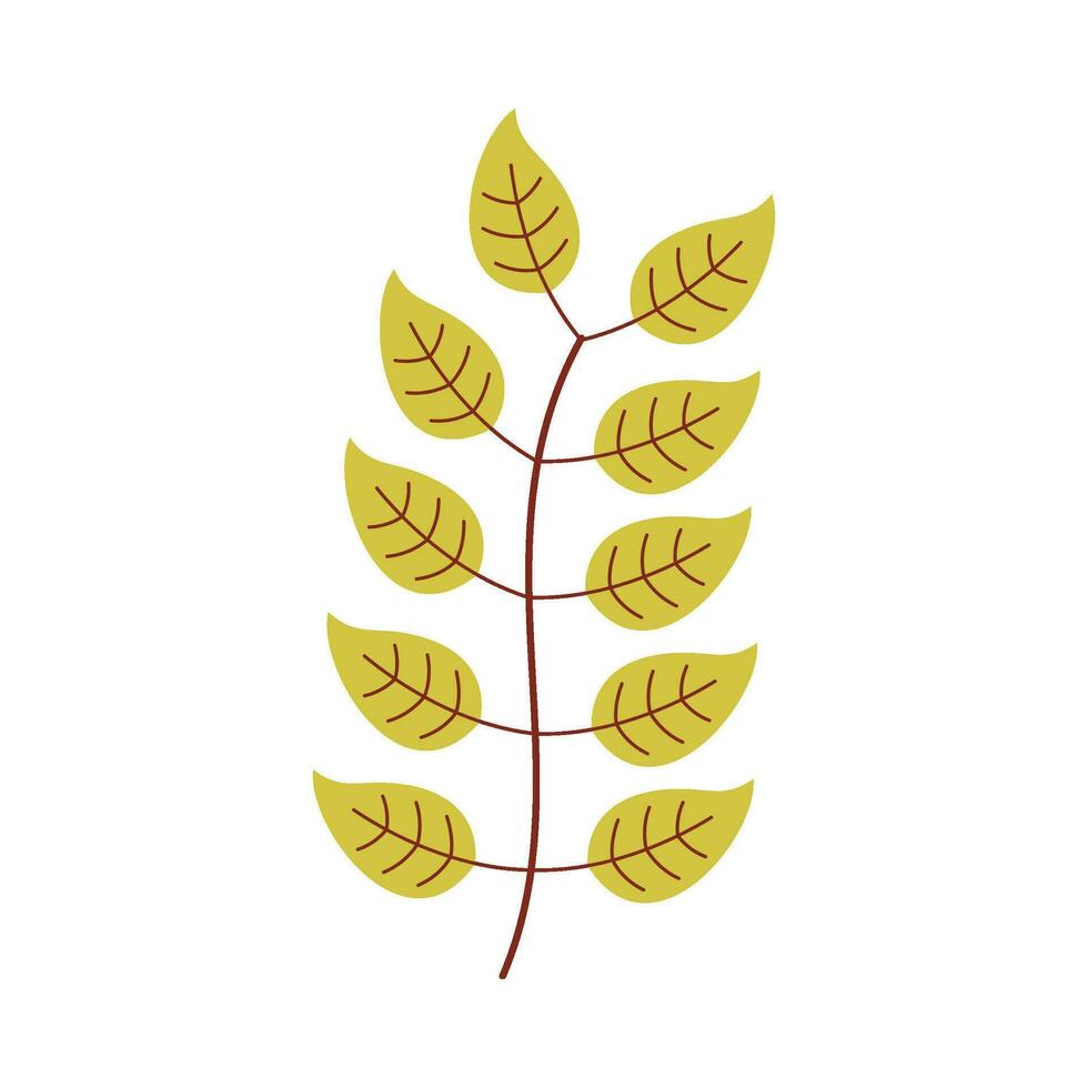 Leaf flat illustration on isolated background vector