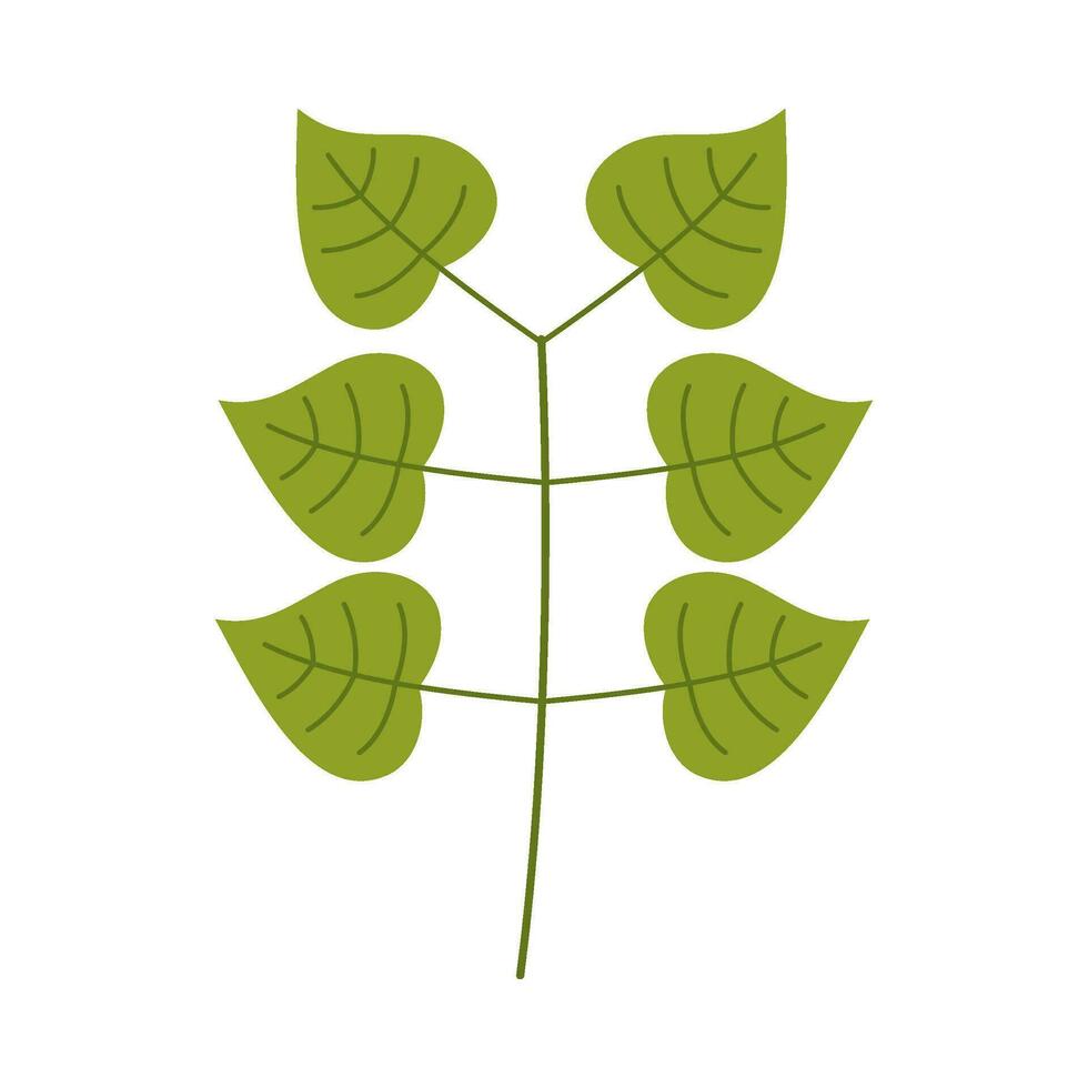 Leaf flat illustration on isolated background vector