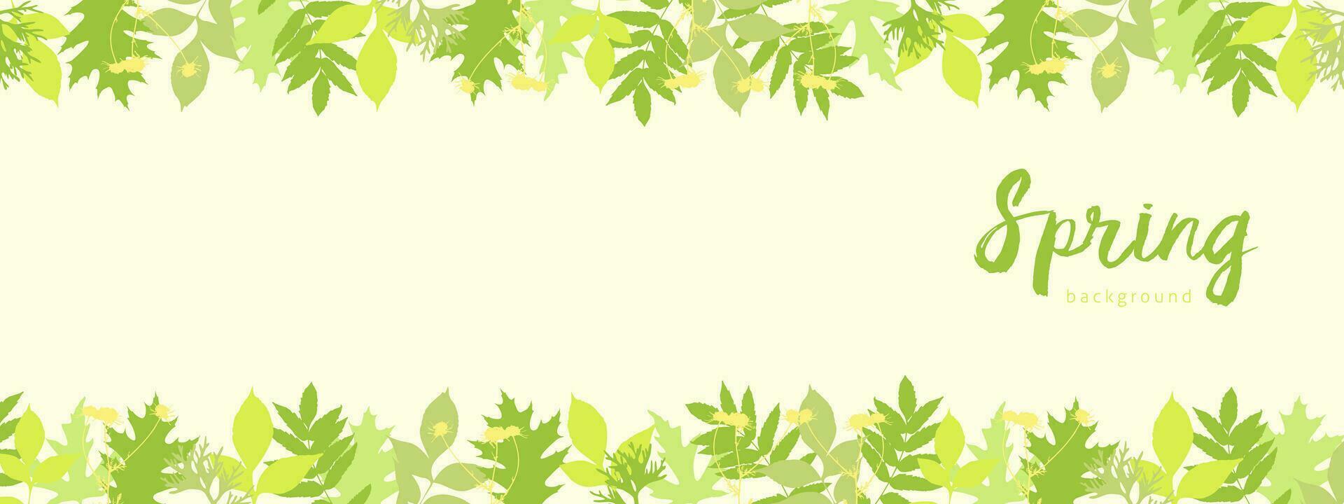 Spring light yellow background banner horizontal with bright young spring leaves. vector