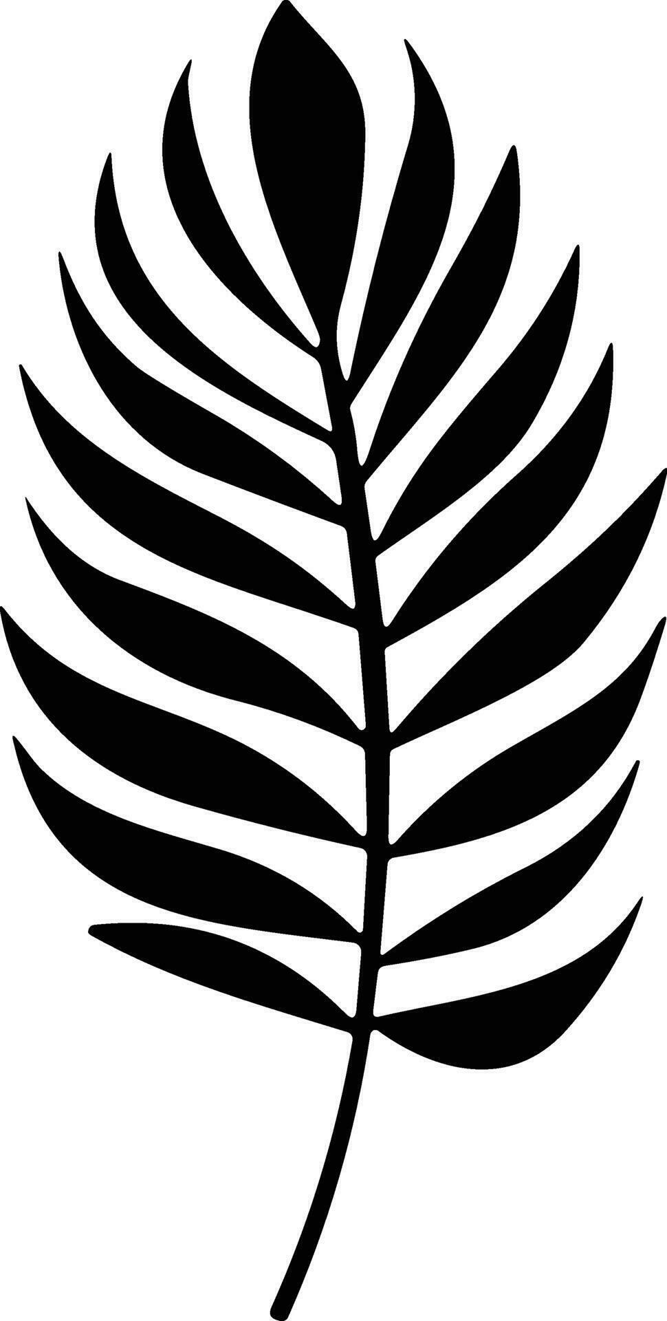 Tropical leave vector palm leaves silhouette Tree leaf for decoration
