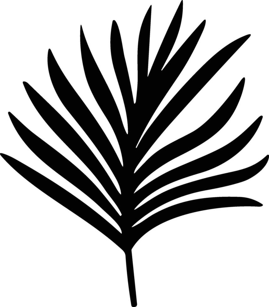 Tropical leave vector. palm leaves silhouette. Tree leaf for decoration element for template vector