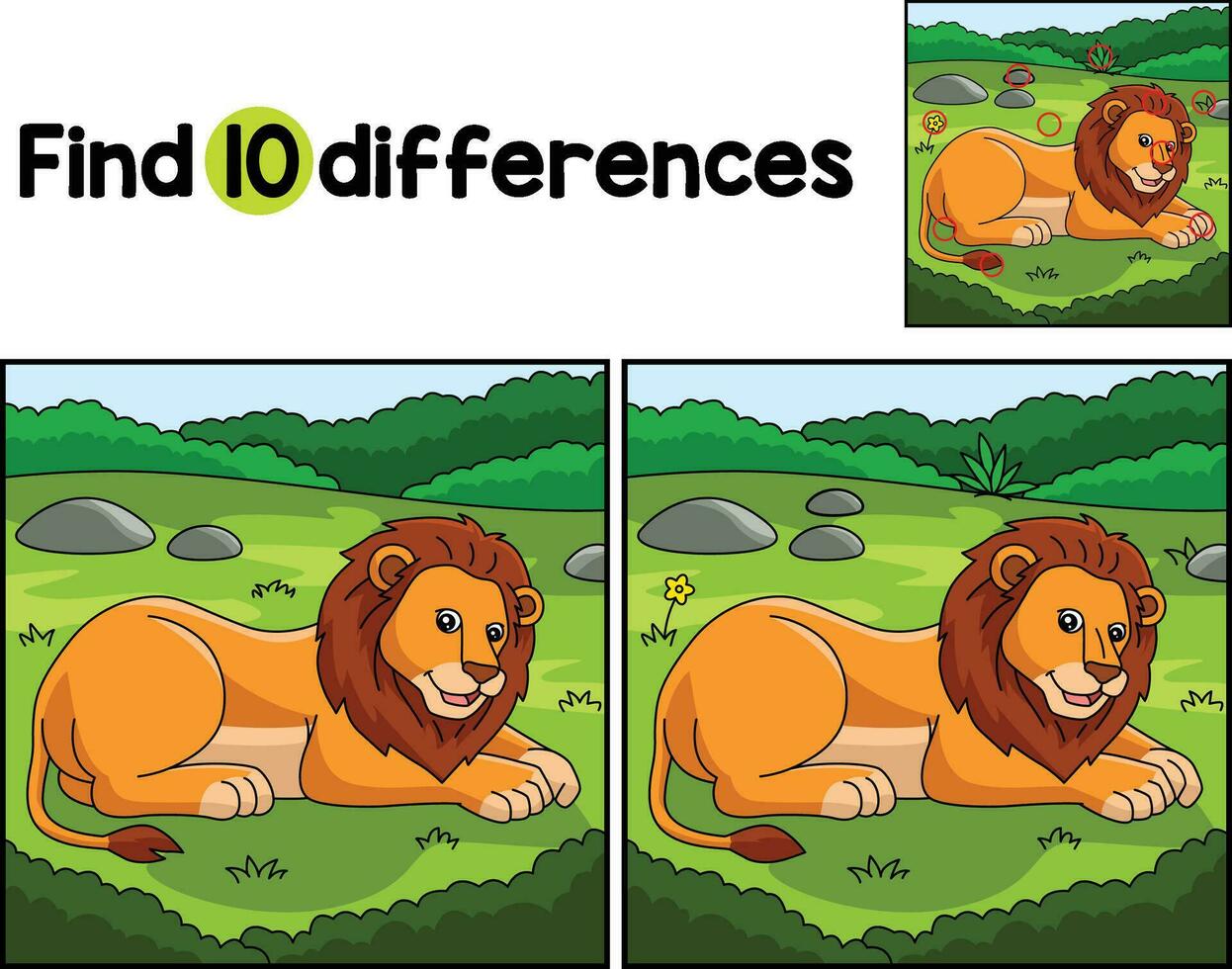 Lion Animal Find The Differences vector