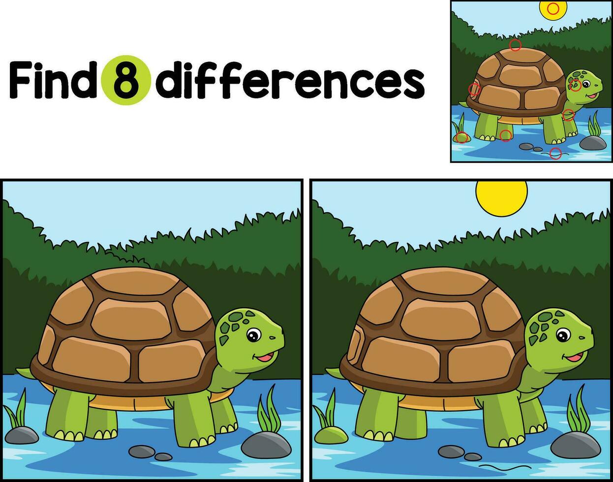 Turtle Animal Find The Differences vector