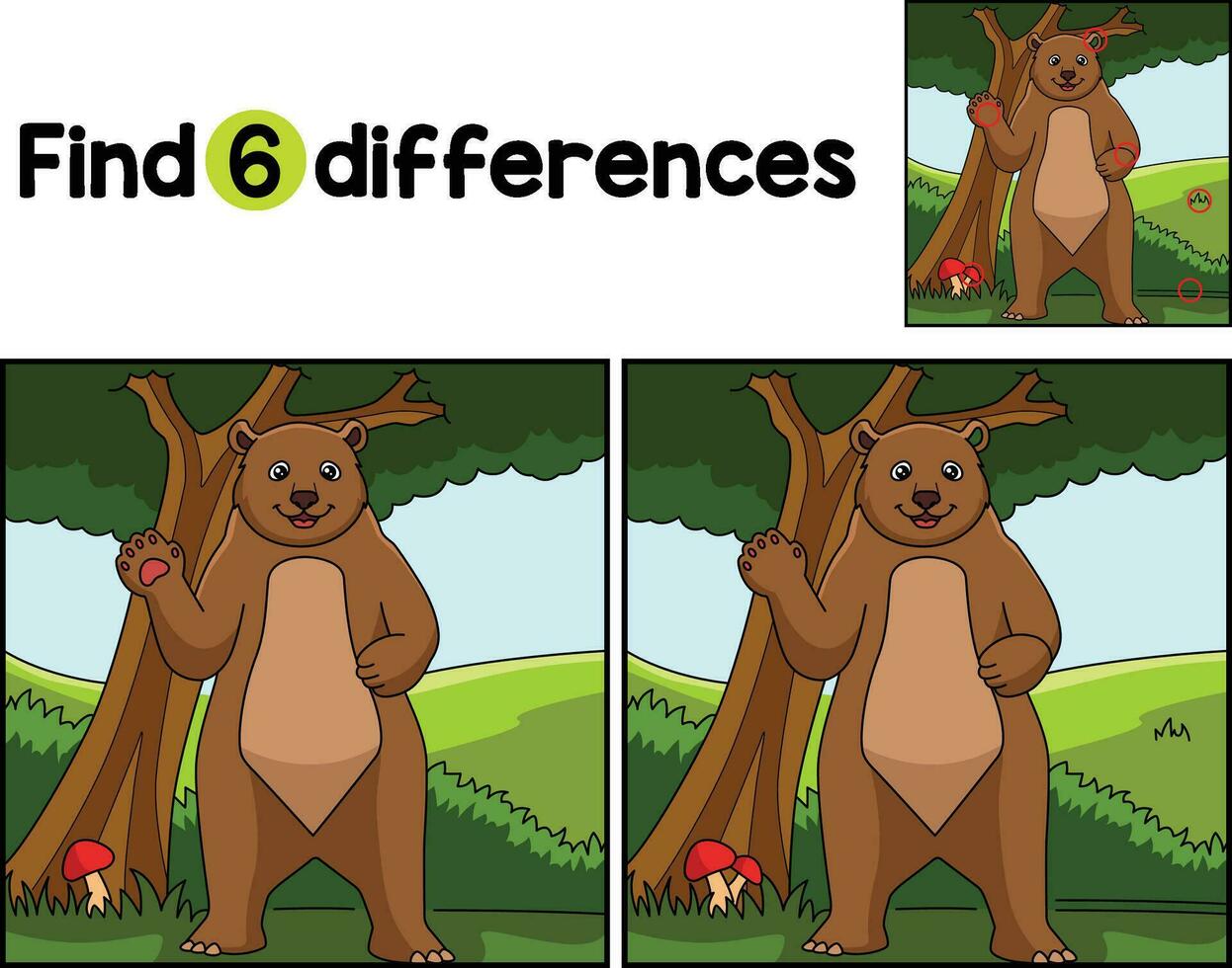 Bear Animal Find The Differences vector