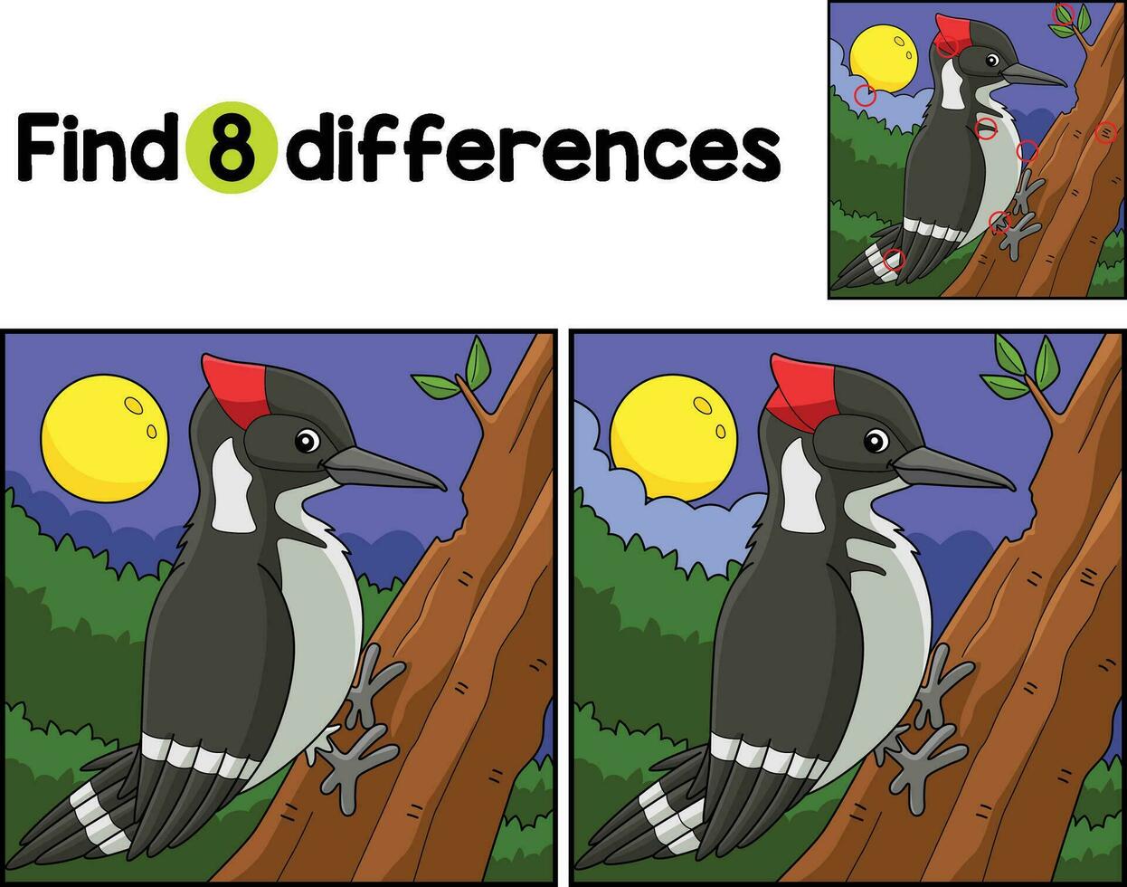 Woodpecker Bird Animal Find The Differences vector