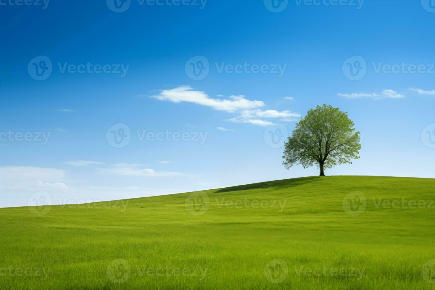 Tree standing in the green field with the blue sky in the background photo