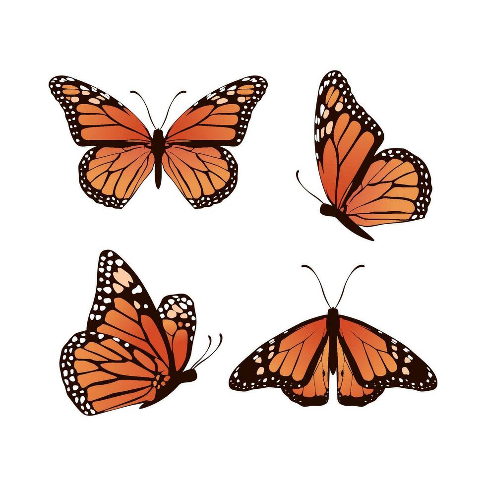 realista sin costura modelo mariposa vector ilustración diseño