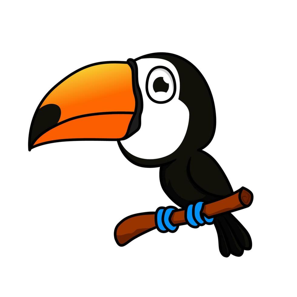 toucan bird vector illustration design