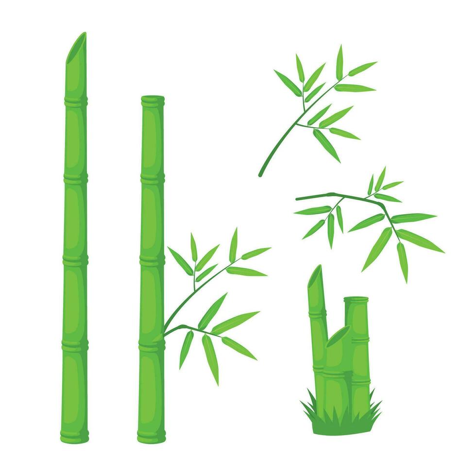 realistic bamboo plant vector design