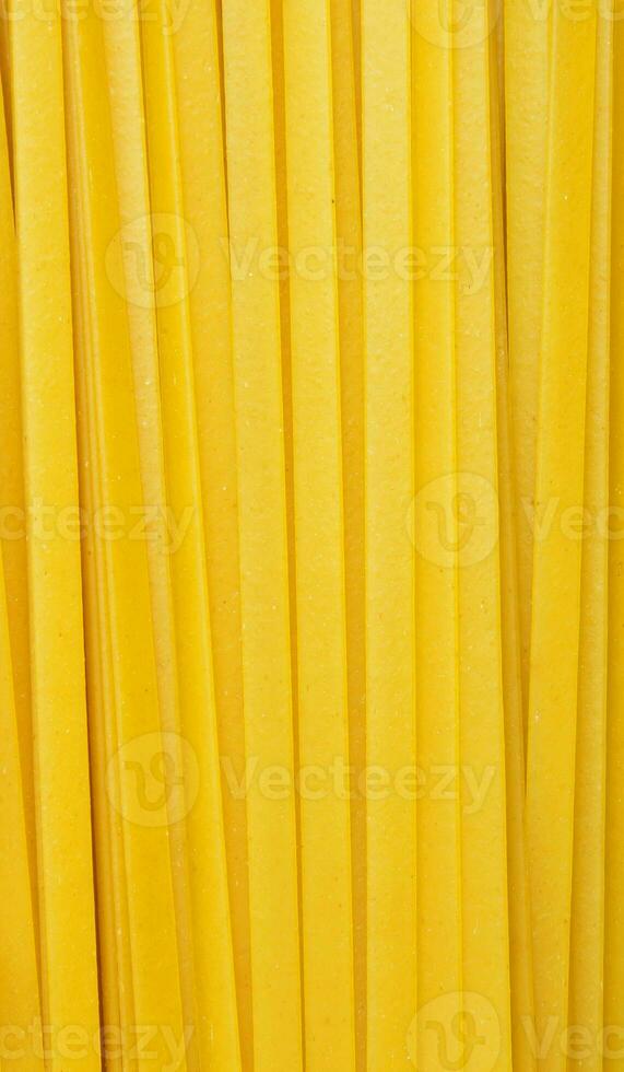 raw pasta closeup photo