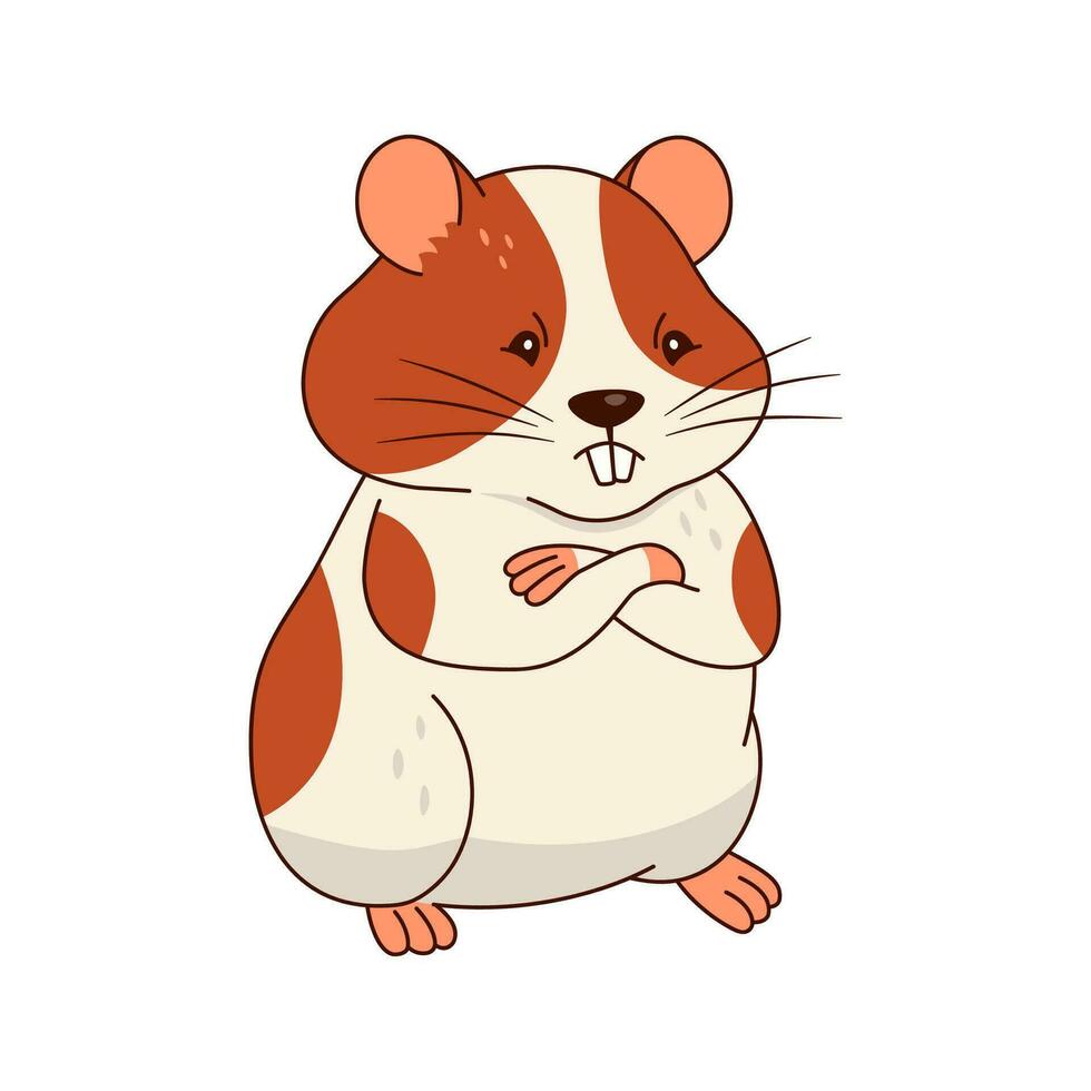 Cute orange and white hamster isolated on white background. vector