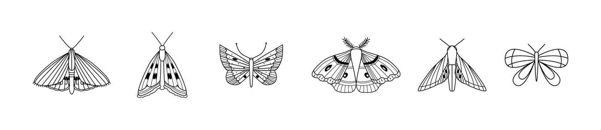 lineal mariposas y polillas contorno bohemio insectos garabatos, iconos genial para huellas dactilares, pancartas, tatuaje. colorante libro. vector