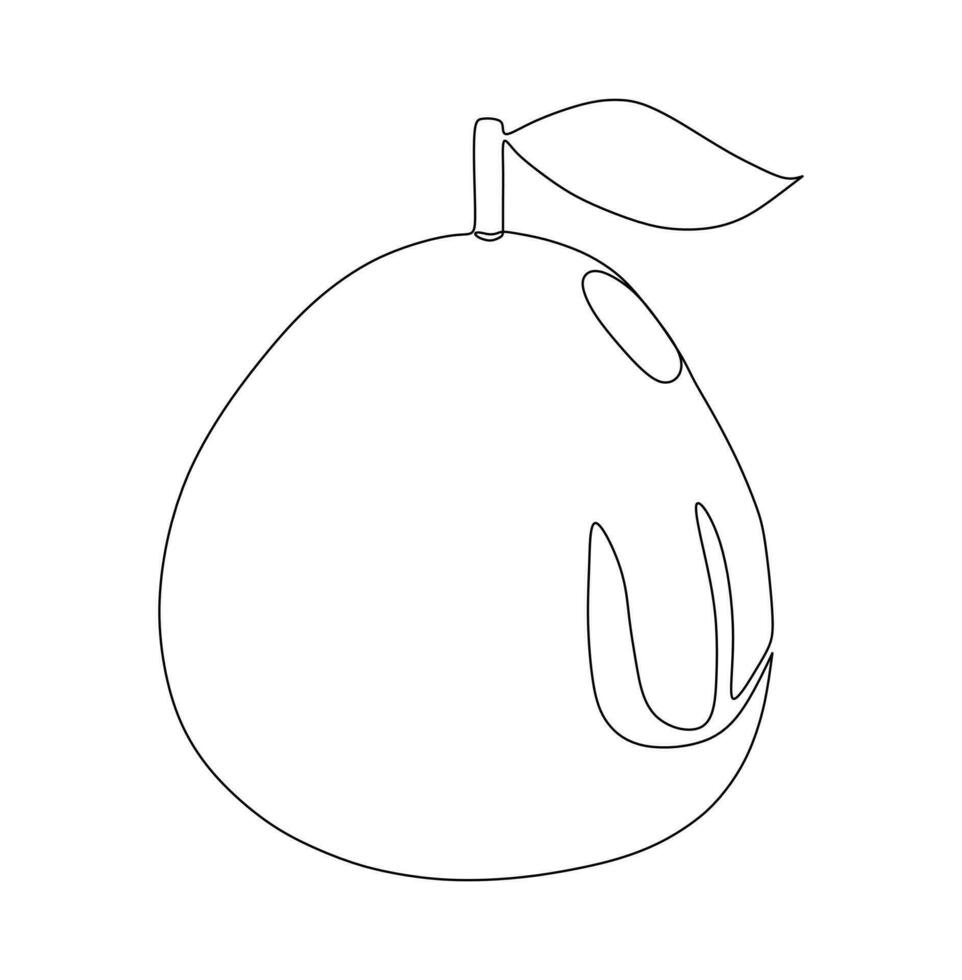 Continuous one line drawing of a pomegranate. Vector illustration