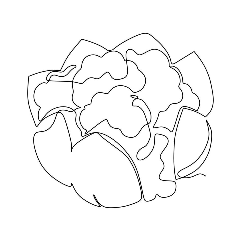 One continuous line drawing of whole healthy organic headed cabbage for farm logo identity. Fresh biennial plant concept for vegetable icon. Modern single line draw design vector graphic illustration