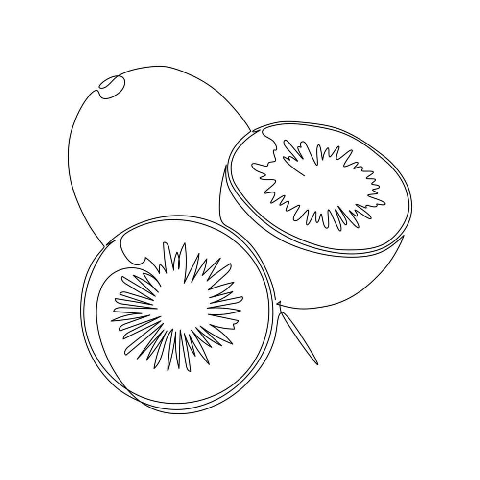 Kiwi fruit in continuous line art drawing style. Black line sketch on white background. Vector illustration for food and nature design element and conceptual