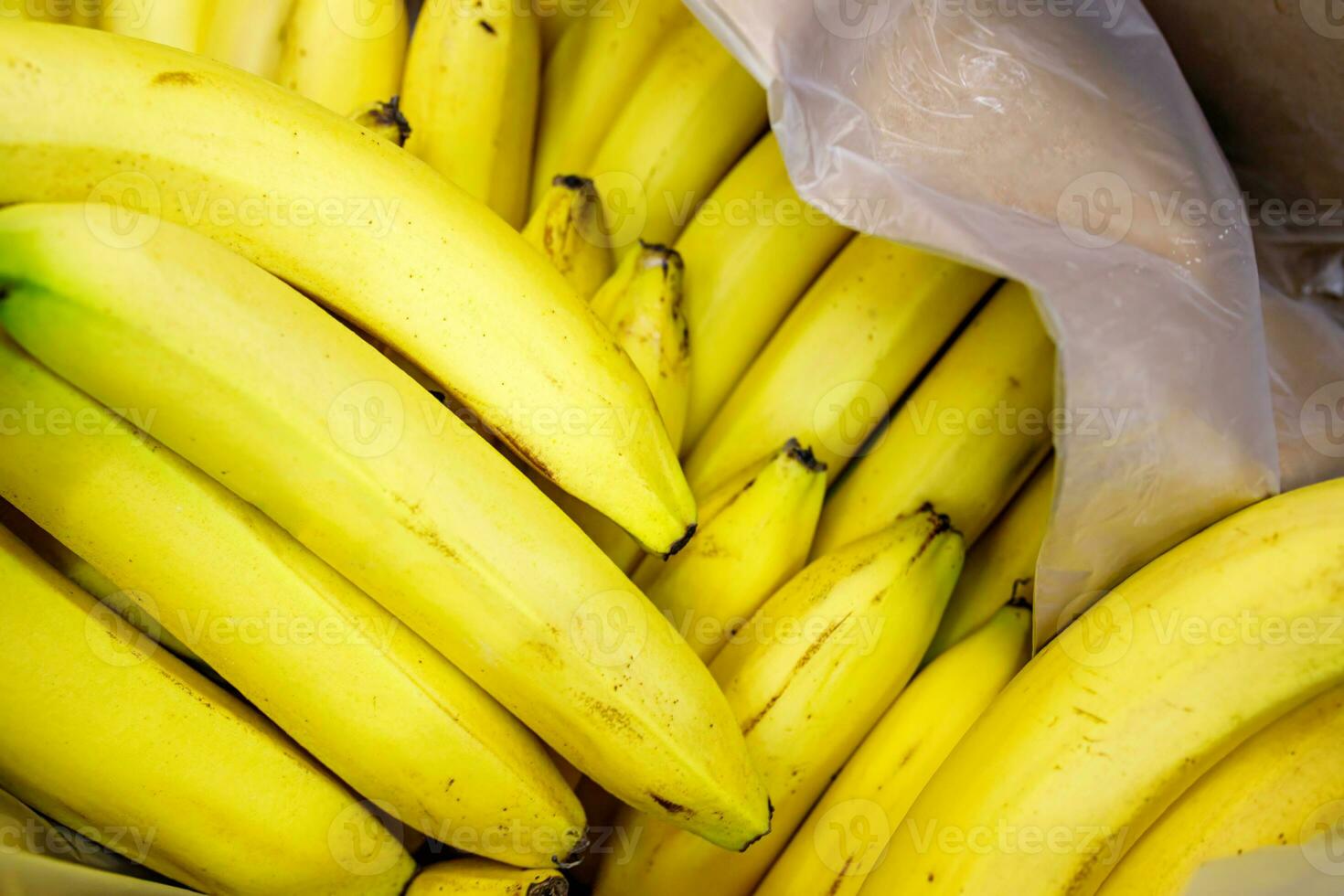 Bananas in the store on the counter in a cardboard box. Sale of fresh fruit in supermarkets photo