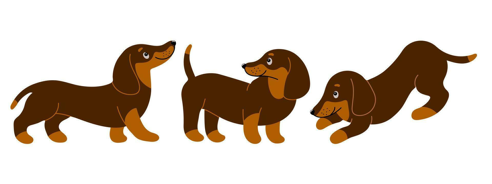 conjunto de linda de pura raza perro tejonero perros en diferente posa dibujos animados estilo ilustración, vector