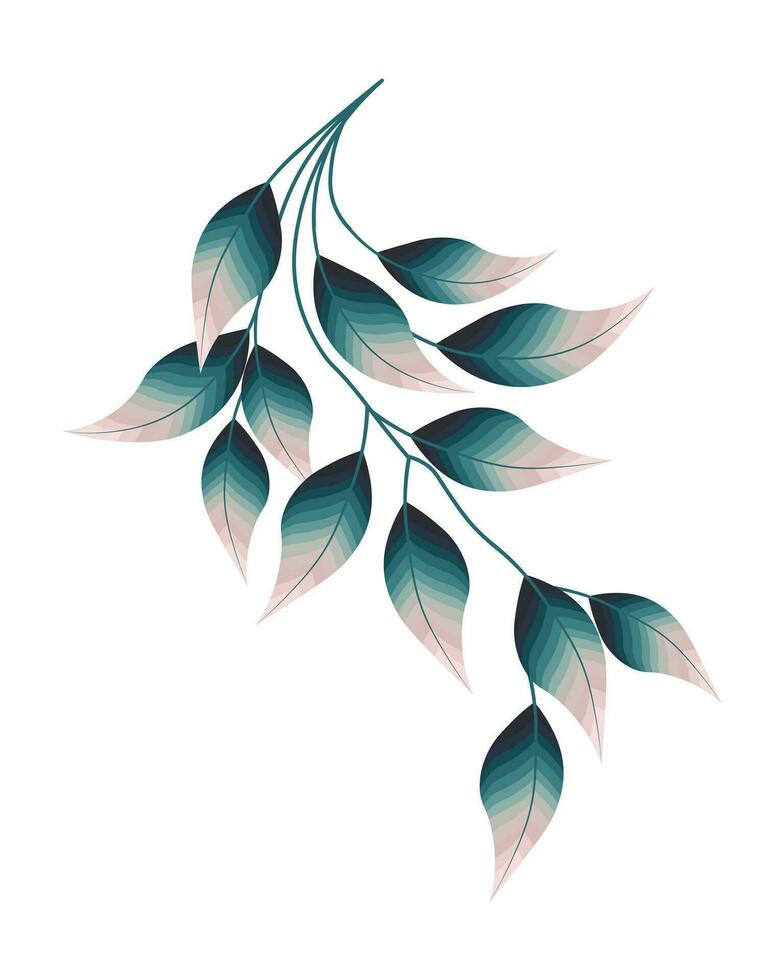 Branch with tender blurred leaves of eucalyptus. Postcard, print, vector
