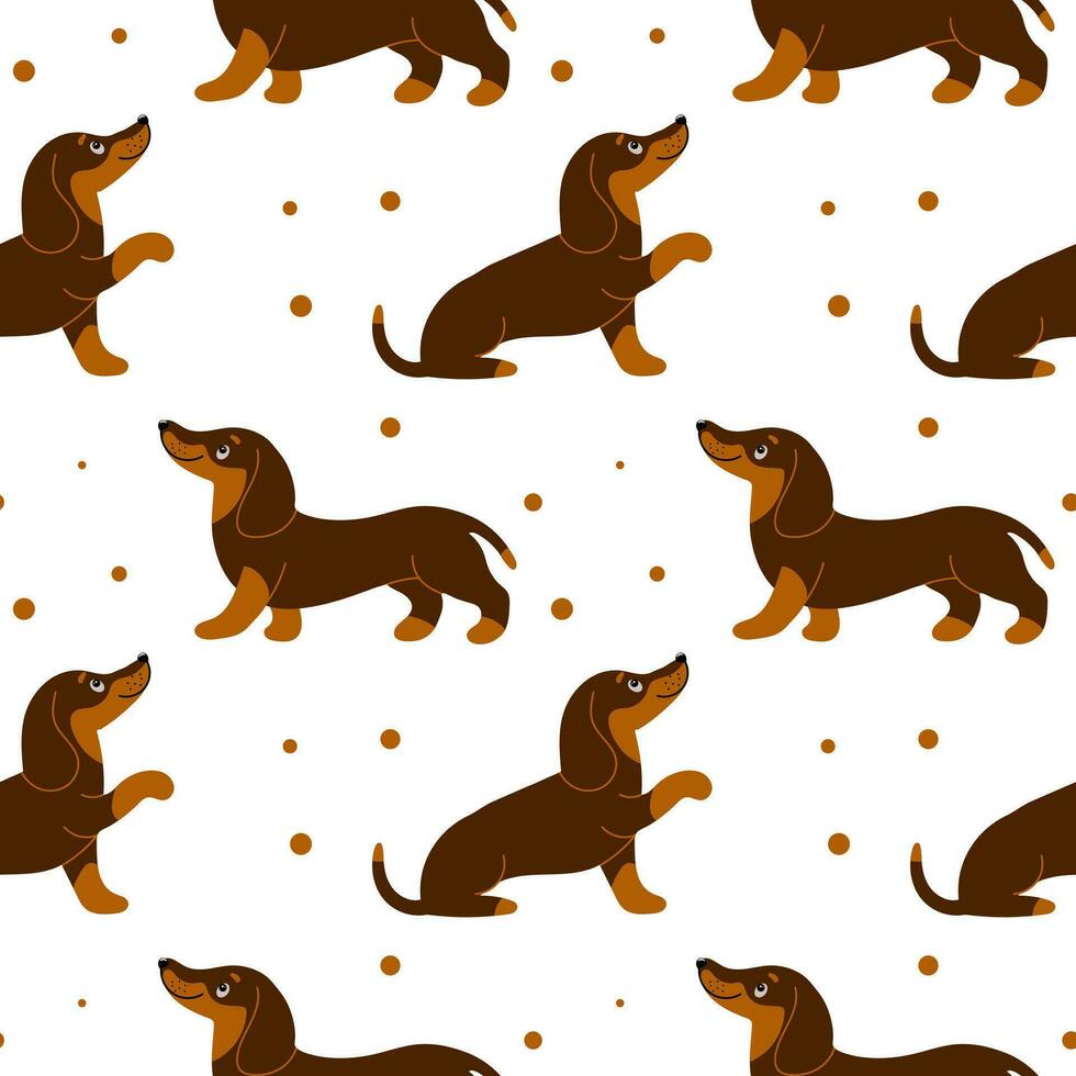 Seamless pattern, cute dachshund dogs on a white background. Children's print, textile, vector