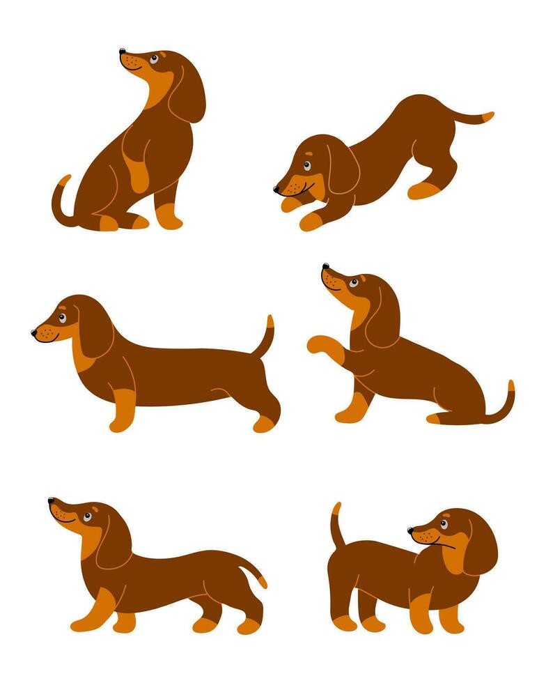 Set of cute purebred dachshund dogs in different poses. Cartoon style illustration, vector